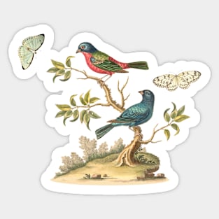 Birds & Butterflies Nature Illustration Sticker